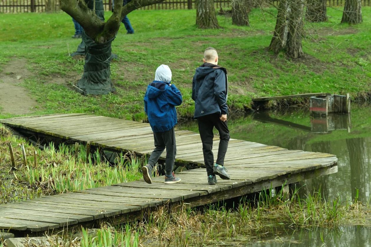  Ogród Botaniczny UMCS już otwarty dla zwiedzających (zdjęcie 1) - Autor: Maciej Kaczanowski