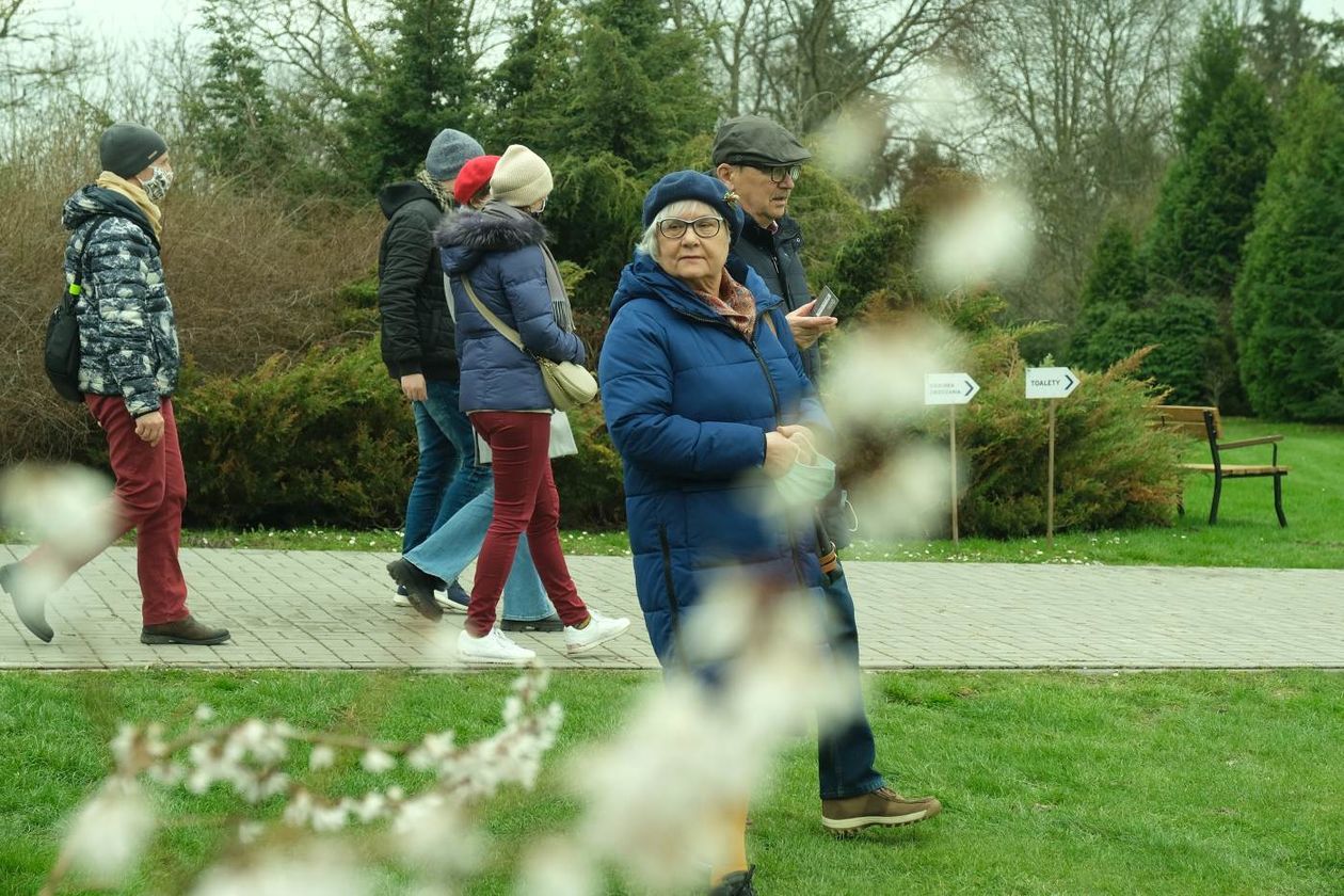  Ogród Botaniczny UMCS już otwarty dla zwiedzających (zdjęcie 1) - Autor: Maciej Kaczanowski