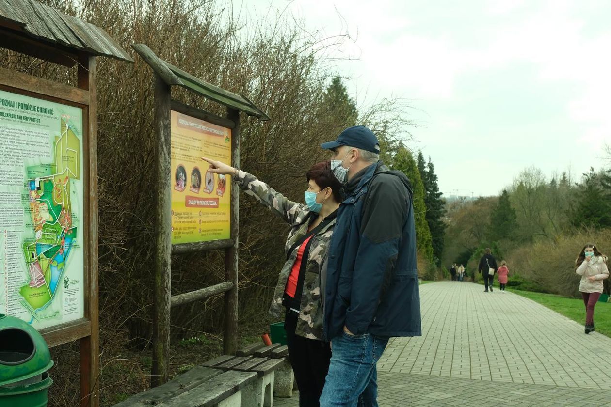  Ogród Botaniczny UMCS już otwarty dla zwiedzających (zdjęcie 1) - Autor: Maciej Kaczanowski