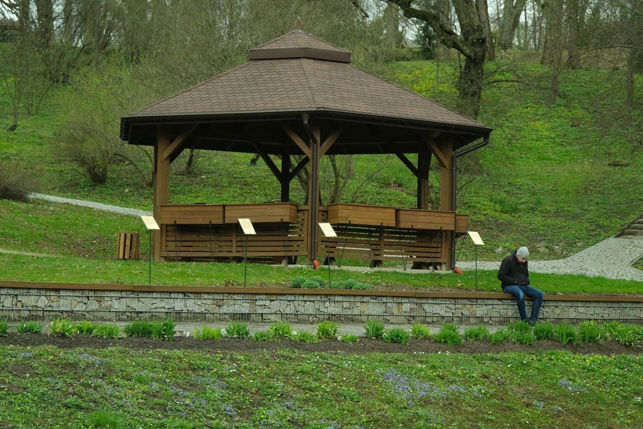  Ogród Botaniczny UMCS już otwarty dla zwiedzających (zdjęcie 1) - Autor: Maciej Kaczanowski