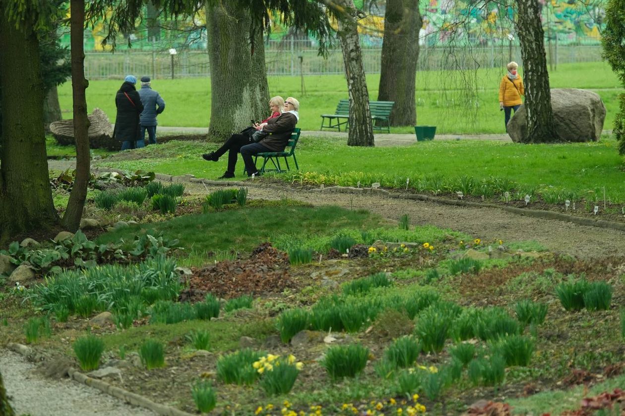  Ogród Botaniczny UMCS już otwarty dla zwiedzających (zdjęcie 1) - Autor: Maciej Kaczanowski