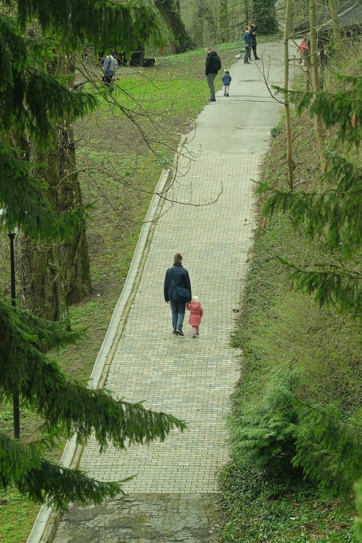  Ogród Botaniczny UMCS już otwarty dla zwiedzających (zdjęcie 1) - Autor: Maciej Kaczanowski