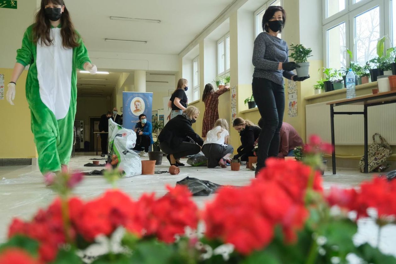  Akcja uczniów pt. Pomóż nam zazielenić piątkę (zdjęcie 1) - Autor: Maciej Kaczanowski
