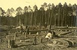 Działalność Austriaków na terenie biłgorajskich lasów, przed I wojną światową (zdjęcie 5)