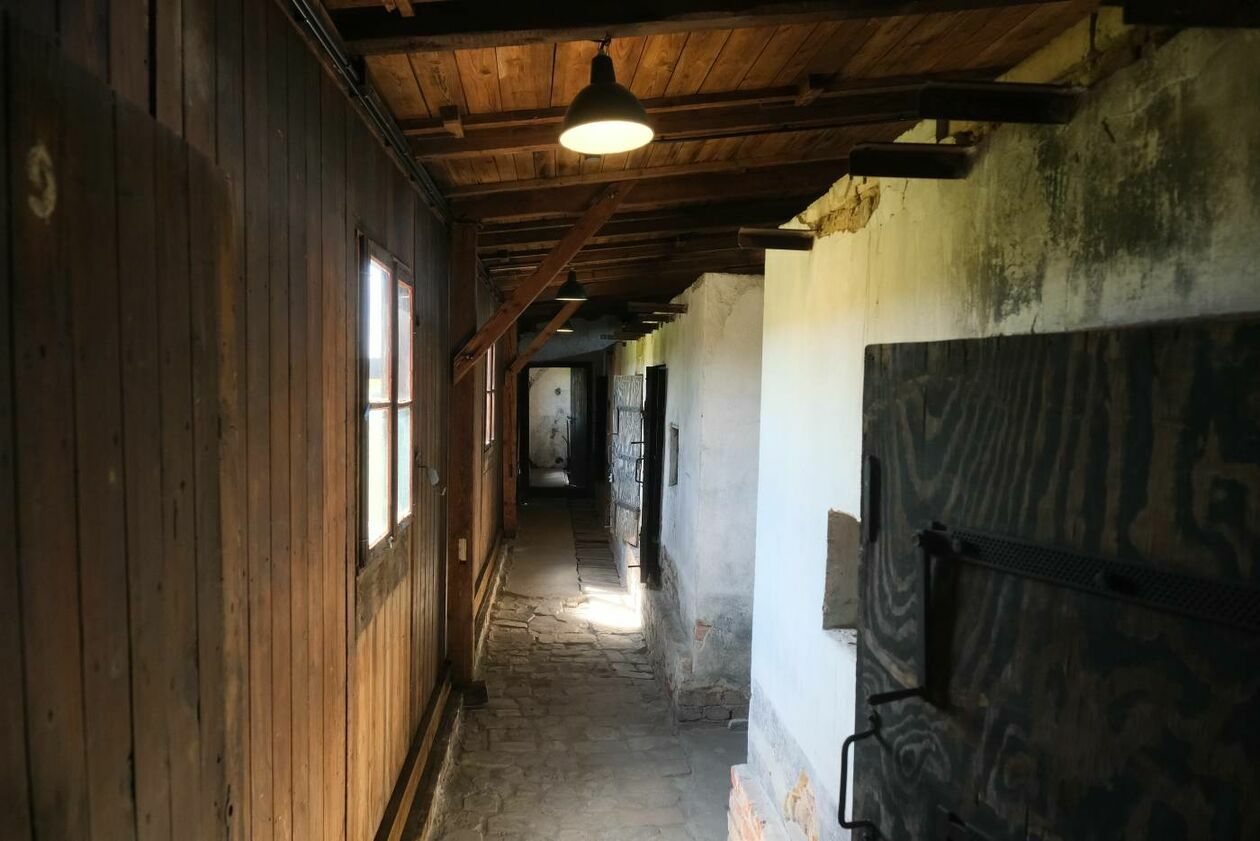  Wyremontowane baraki w Muzeum na Majdanku już otwarte dla zwiedzajacych (zdjęcie 1) - Autor: Maciej Kaczanowski