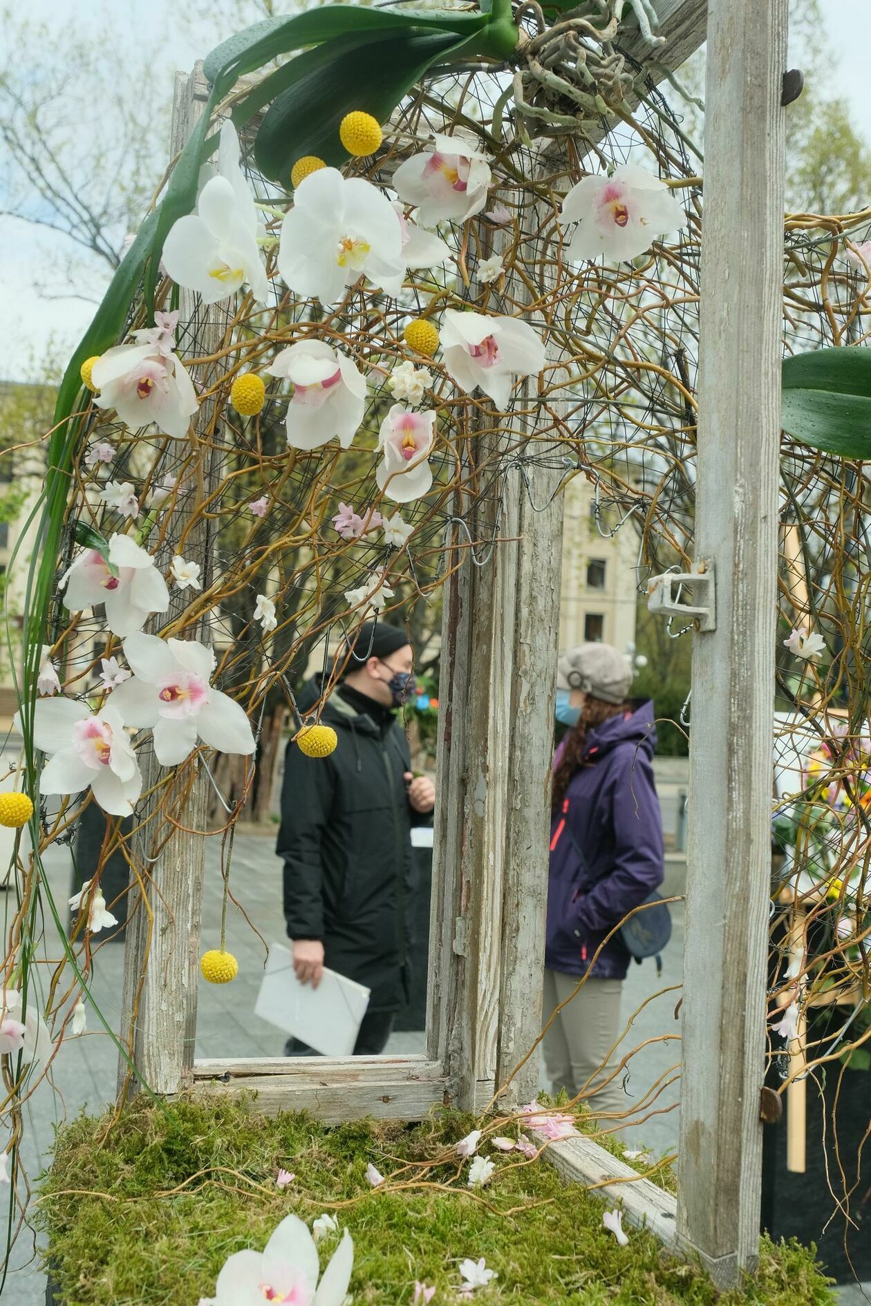  Weekend z Florystyką: przed gmachem CSK można otwarto wystawę instalacji artystycznych (zdjęcie 1) - Autor: Maciej Kaczanowski