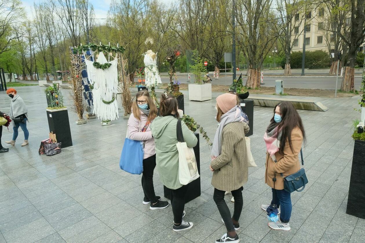  Weekend z Florystyką: przed gmachem CSK można otwarto wystawę instalacji artystycznych (zdjęcie 1) - Autor: Maciej Kaczanowski