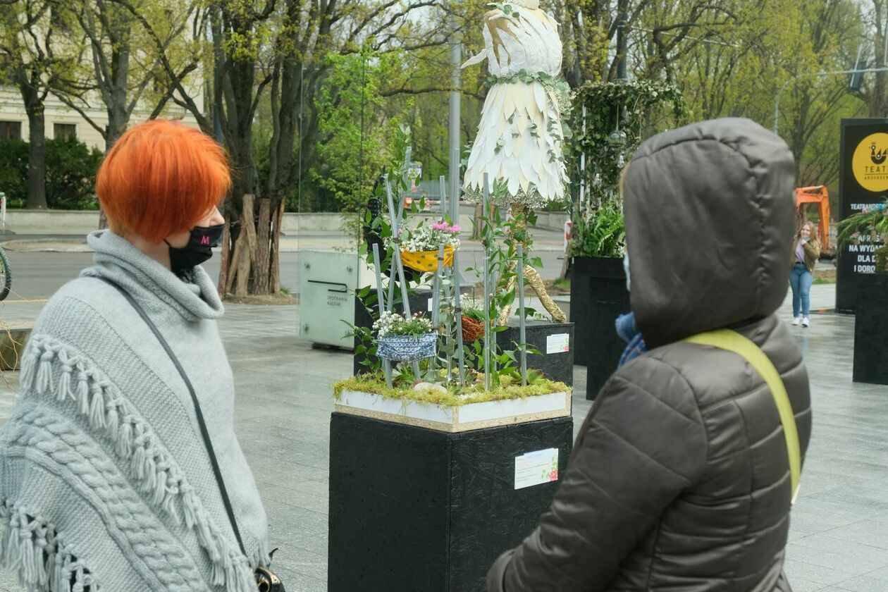  Weekend z Florystyką: przed gmachem CSK można otwarto wystawę instalacji artystycznych (zdjęcie 1) - Autor: Maciej Kaczanowski