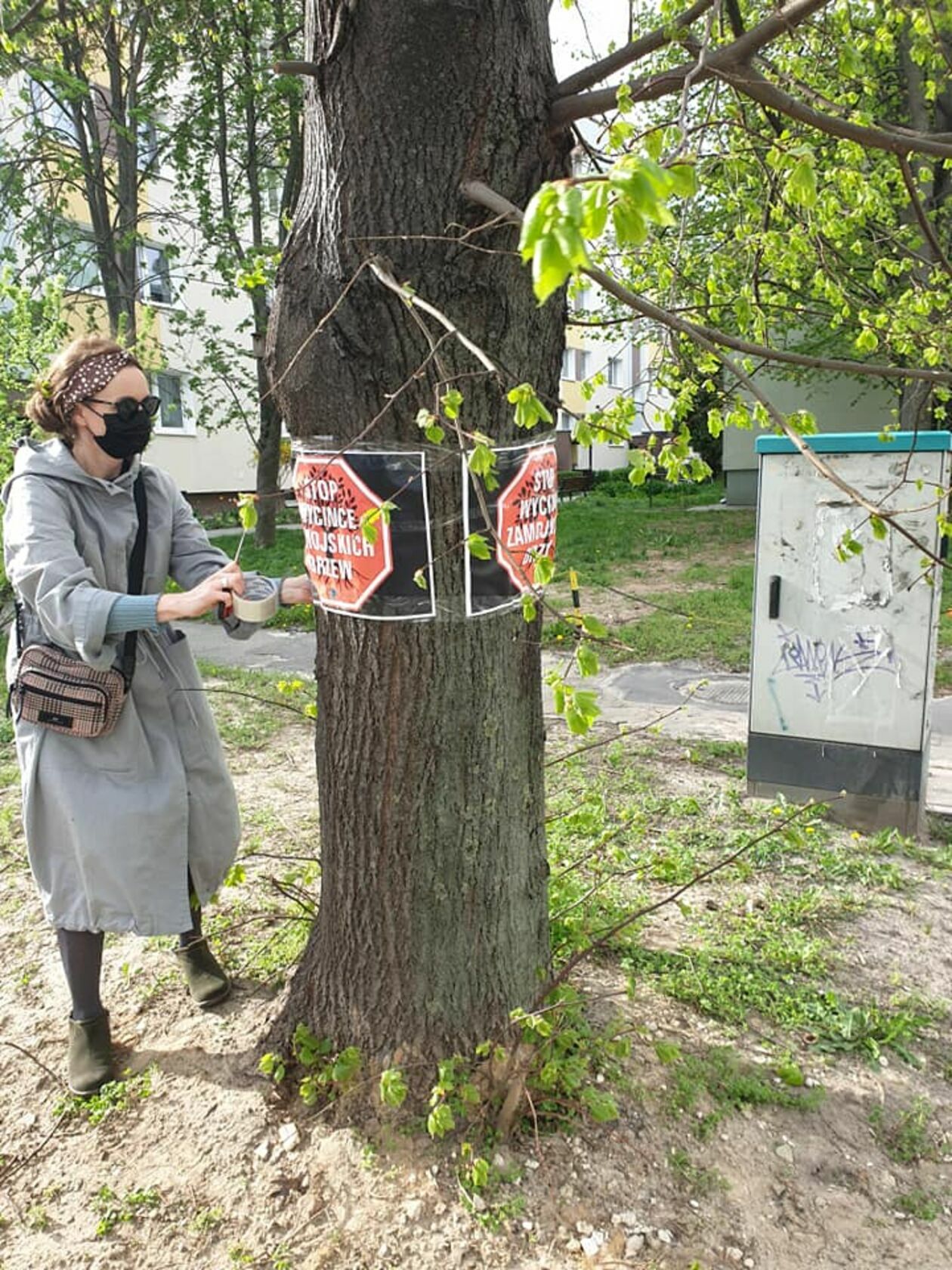  Wycinka drzew przy ul. Piłsudskiego w Zamościu i protest (zdjęcie 1) - Autor: FB/Stop wycince zamojskich drzew