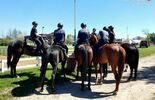 Sprawdzian koni do pracy w policji (zdjęcie 2)