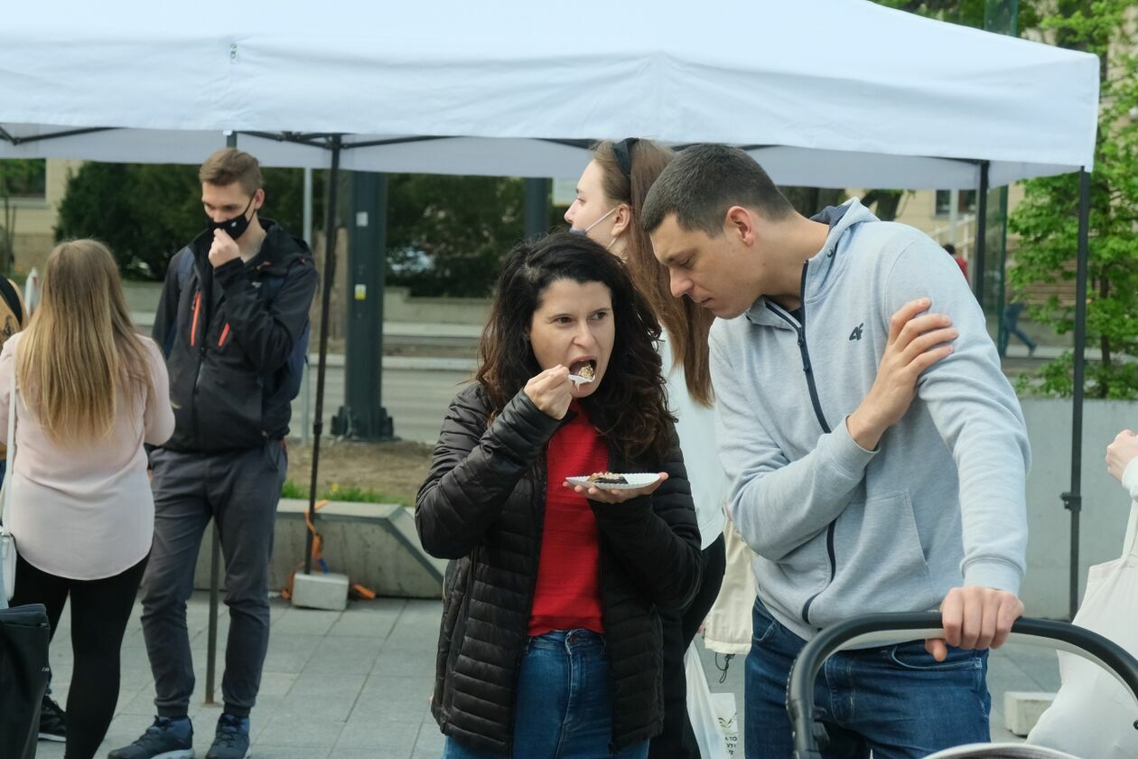  Festiwal Pierogów Świata (zdjęcie 1) - Autor: Maciej Kaczanowski