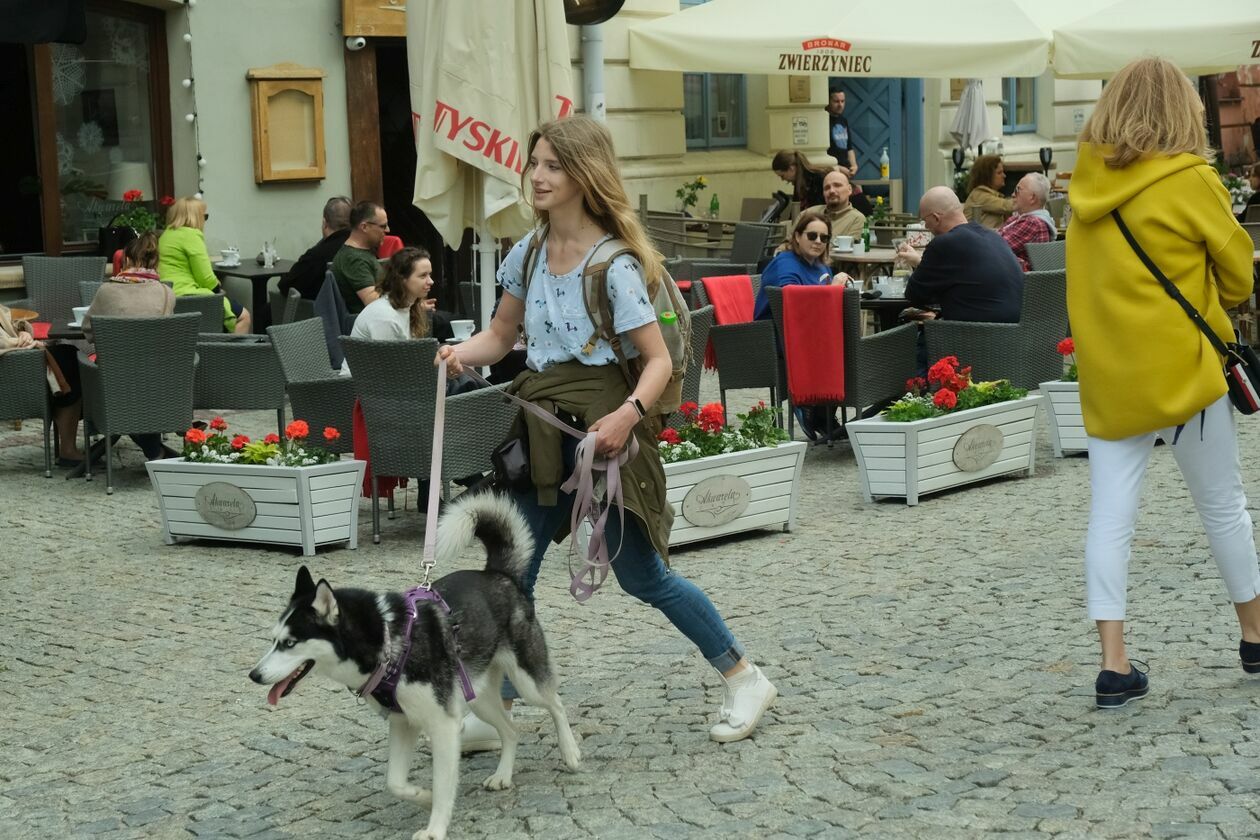  Ogródki piwne przy lubelskich restauracjach pełne gości (zdjęcie 1) - Autor: Maciej Kaczanowski