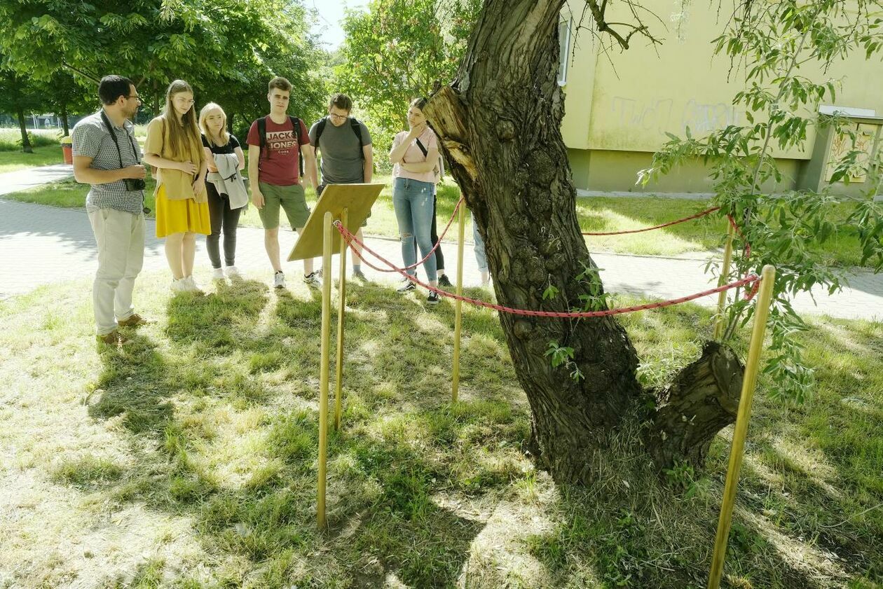  Studenci Architektura Krajobrazu KUL prowadzą mikrodziałania artystyczne na osiedlu Błonie  (zdjęcie 1) - Autor: Maciej Kaczanowski
