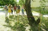Studenci Architektura Krajobrazu KUL prowadzą mikrodziałania artystyczne na osiedlu Błonie  (zdjęcie 4)