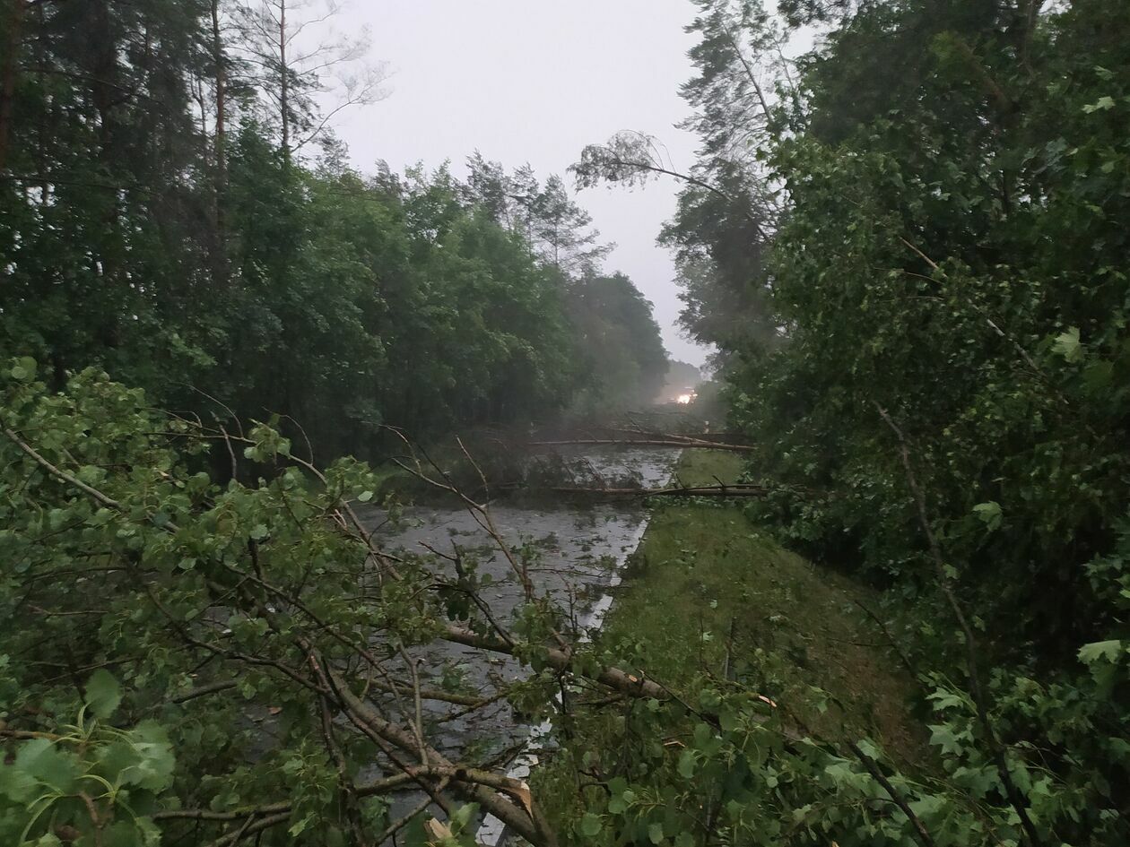  Usuwanie skutków nawałnic w powiecie lubelskim. Działania OSP Strzeszkowice Duże  - Autor: OSP Strzeszkowice Duże