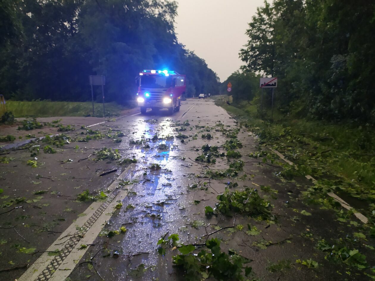  Usuwanie skutków nawałnic w powiecie lubelskim. Działania OSP Strzeszkowice Duże (zdjęcie 3) - Autor: OSP Strzeszkowice Duże