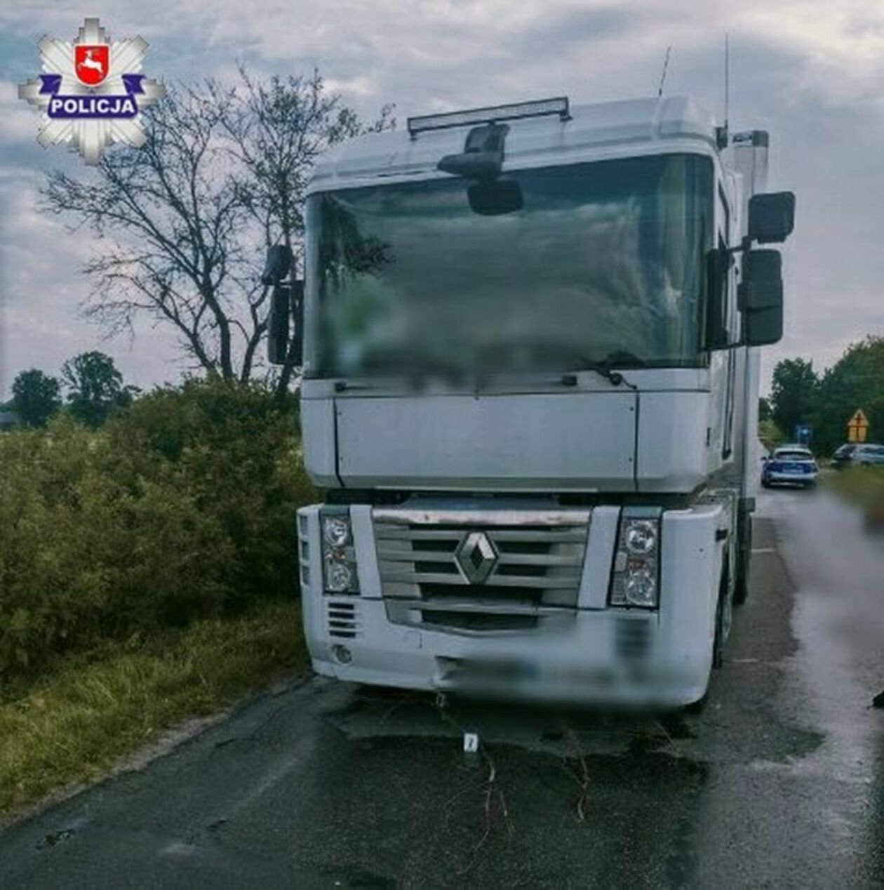  Śmiertelny wypadek w miejscowości Ciotcza  - Autor: Policja