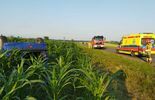 Dachowanie w polu kukurydzy (zdjęcie 2)