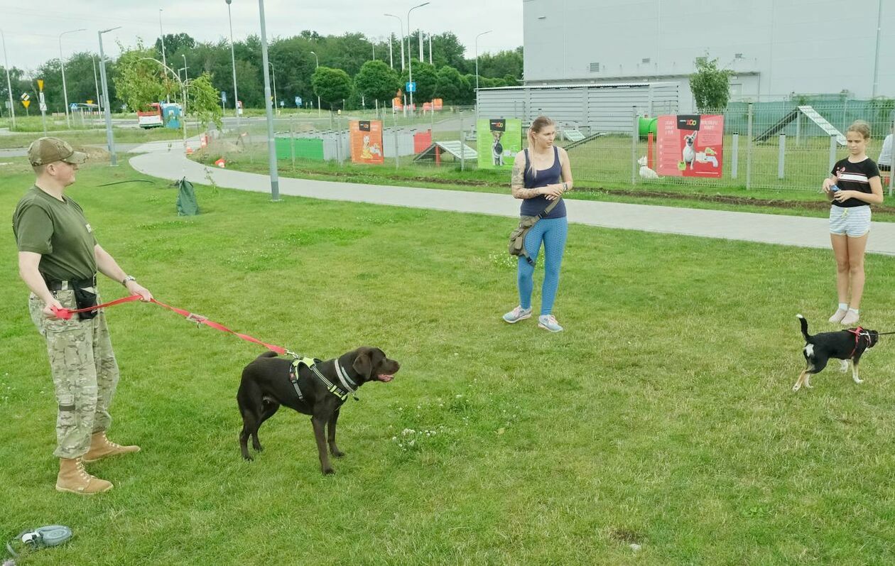  Warsztaty dla właścicieli psów przed lubelskim Skende Shopping (zdjęcie 16) - Autor: Maciej Kaczanowski