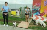 Warsztaty dla właścicieli psów przed lubelskim Skende Shopping (zdjęcie 5)
