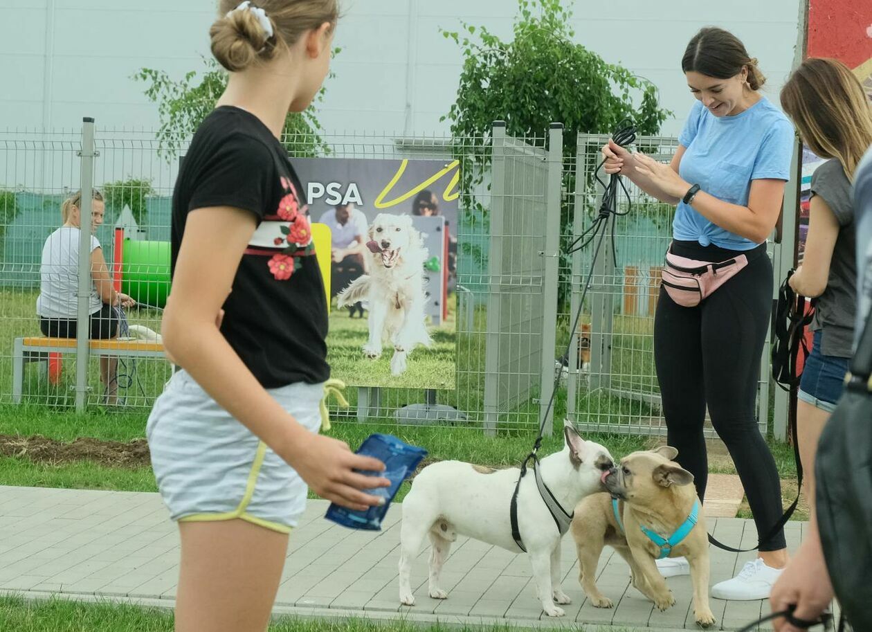  Warsztaty dla właścicieli psów przed lubelskim Skende Shopping (zdjęcie 11) - Autor: Maciej Kaczanowski