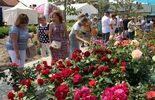 Święto Róż w Końskowoli 2021 (zdjęcie 5)