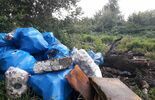 Śmieci w okolicy Wólki Gołębskiej w 2020 r. i obecnie (zdjęcie 3)
