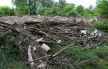 Śmieci w okolicy Wólki Gołębskiej w 2020 r. i obecnie (zdjęcie 2)