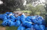 Śmieci w okolicy Wólki Gołębskiej w 2020 r. i obecnie (zdjęcie 4)