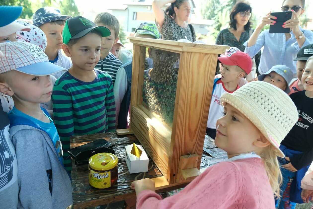  Otwarcie pasieki miejskiej w Świdniku (zdjęcie 9) - Autor: Maciej Kaczanowski