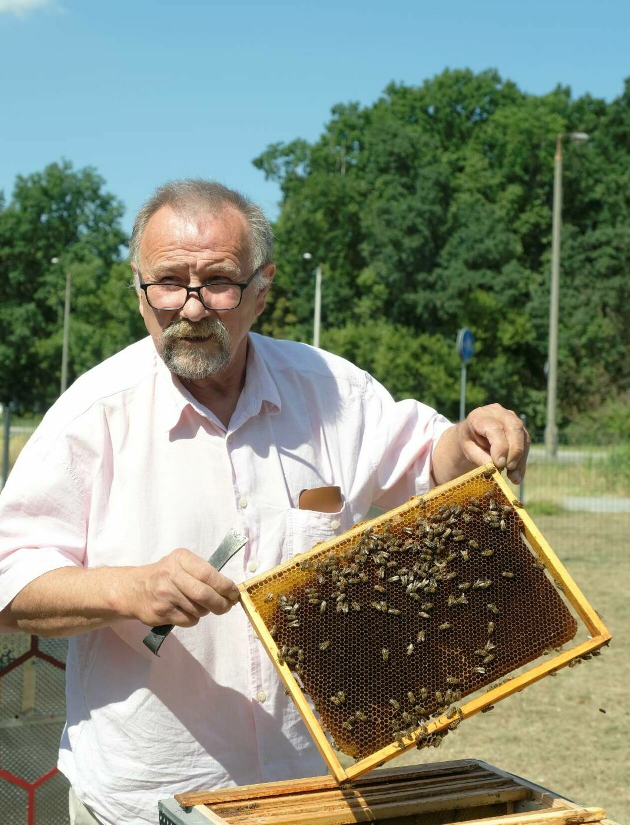  Otwarcie pasieki miejskiej w Świdniku  - Autor: Maciej Kaczanowski