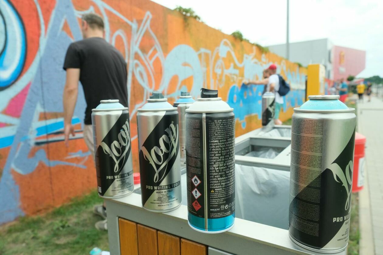  Festiwal graffiti Meeting of Styles w Skende (zdjęcie 17) - Autor: Maciej Kaczanowski