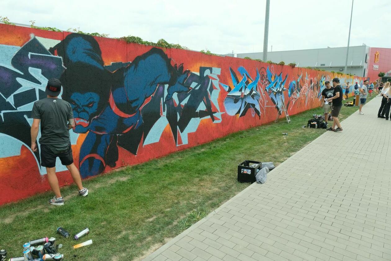  Festiwal graffiti Meeting of Styles w Skende (zdjęcie 13) - Autor: Maciej Kaczanowski