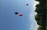 Zawody balonowe w Nałęczowie (zdjęcie 3)