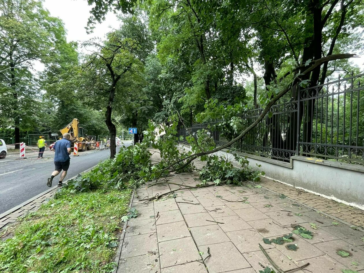  <p>Ulica Długosza i Ogr&oacute;d Saski</p>