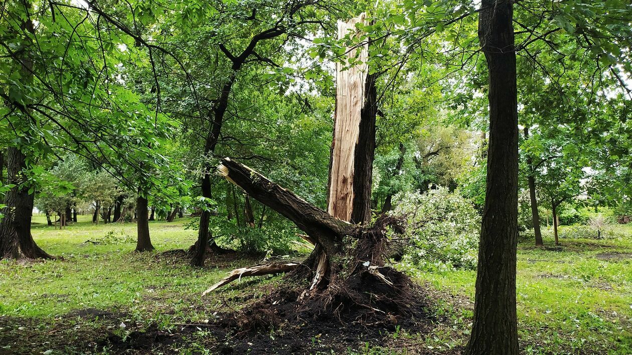  <p>Park Ludowy</p>