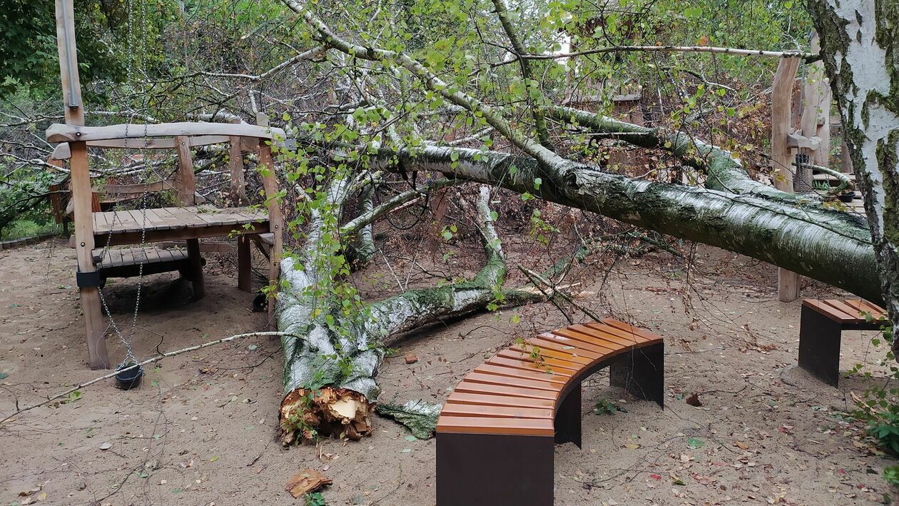  <p>Park Ludowy</p>