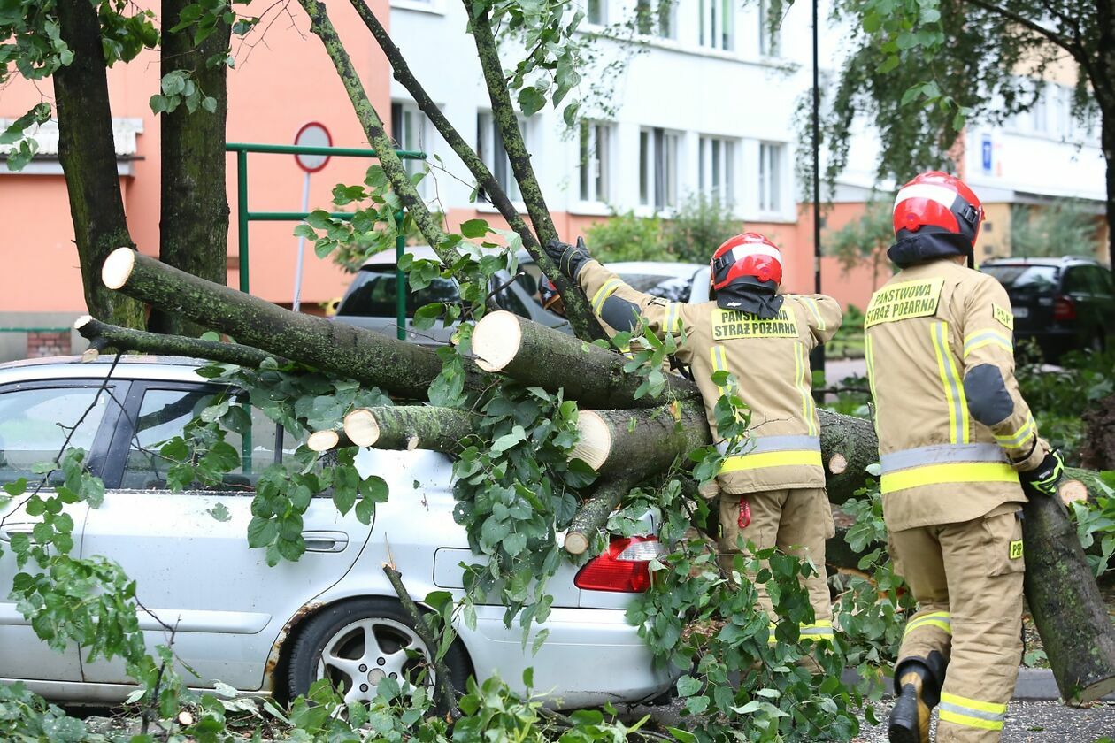  Lublin. Zniszczenia po nawałnicy na Czechowie i Czubach (zdjęcie 42) - Autor: Piotr Michalski