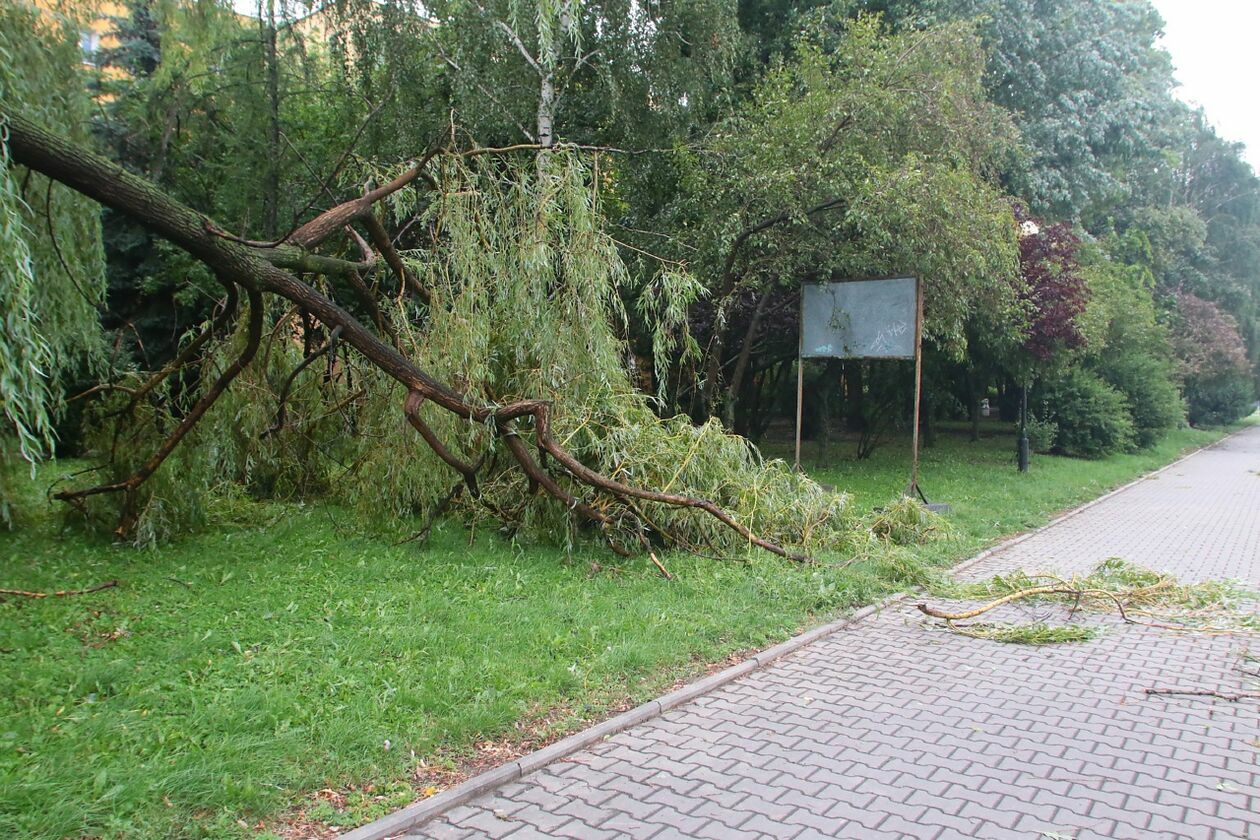  Lublin. Zniszczenia po nawałnicy na Czechowie i Czubach (zdjęcie 76) - Autor: Piotr Michalski