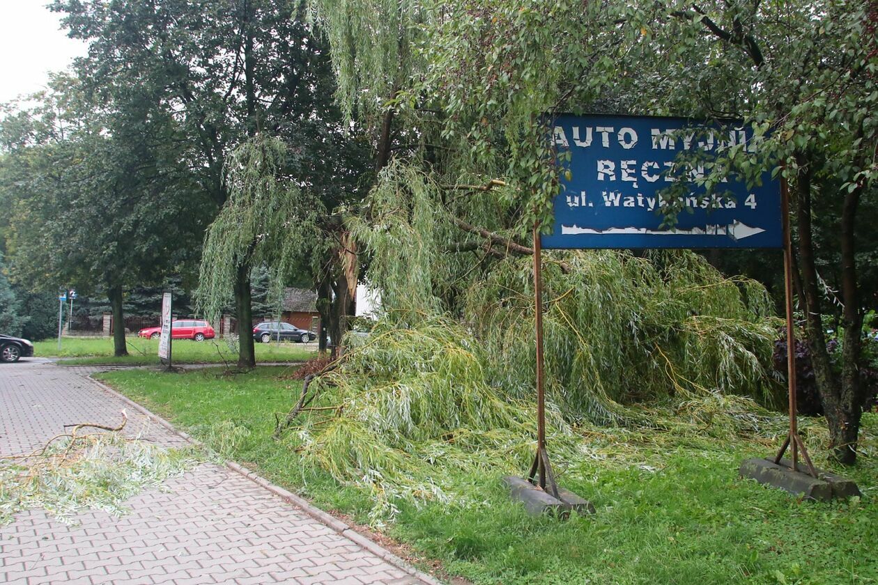  Lublin. Zniszczenia po nawałnicy na Czechowie i Czubach (zdjęcie 77) - Autor: Piotr Michalski