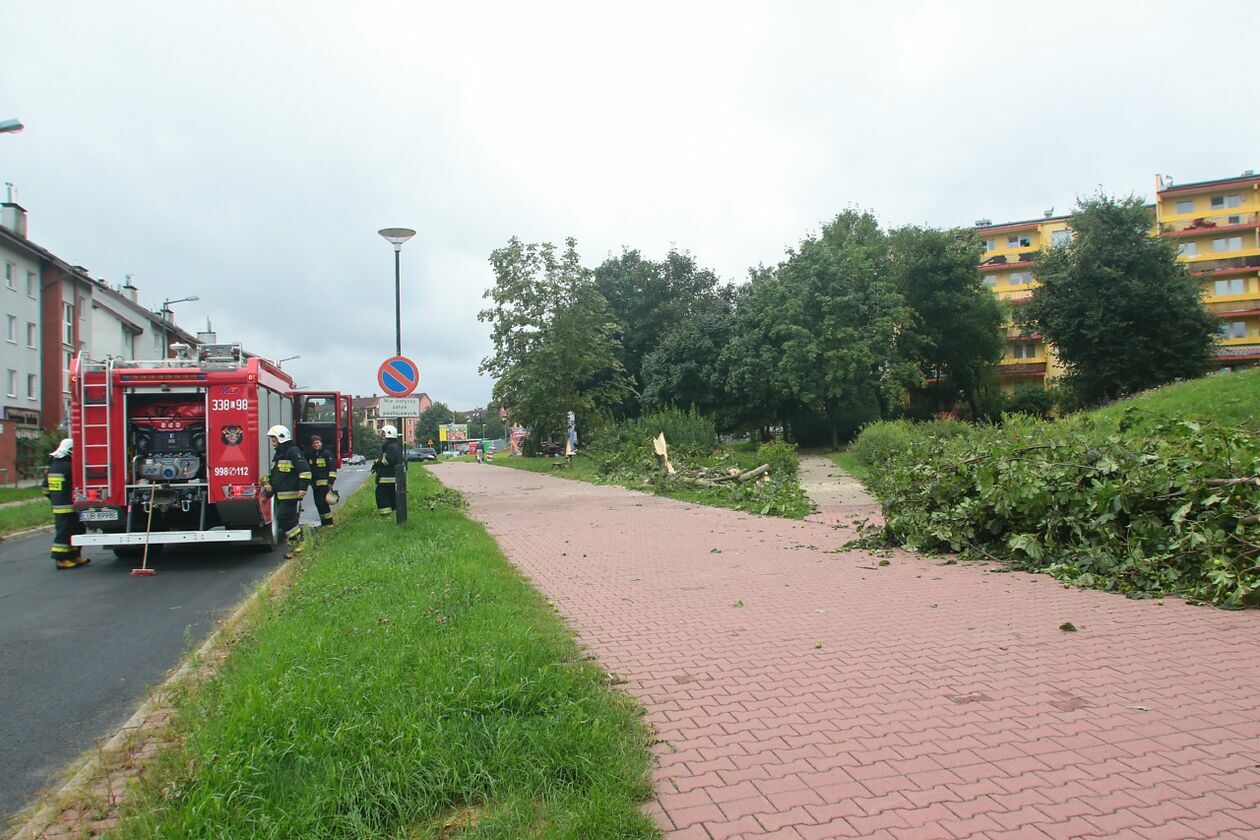  Lublin. Zniszczenia po nawałnicy na Czechowie i Czubach (zdjęcie 103) - Autor: Piotr Michalski