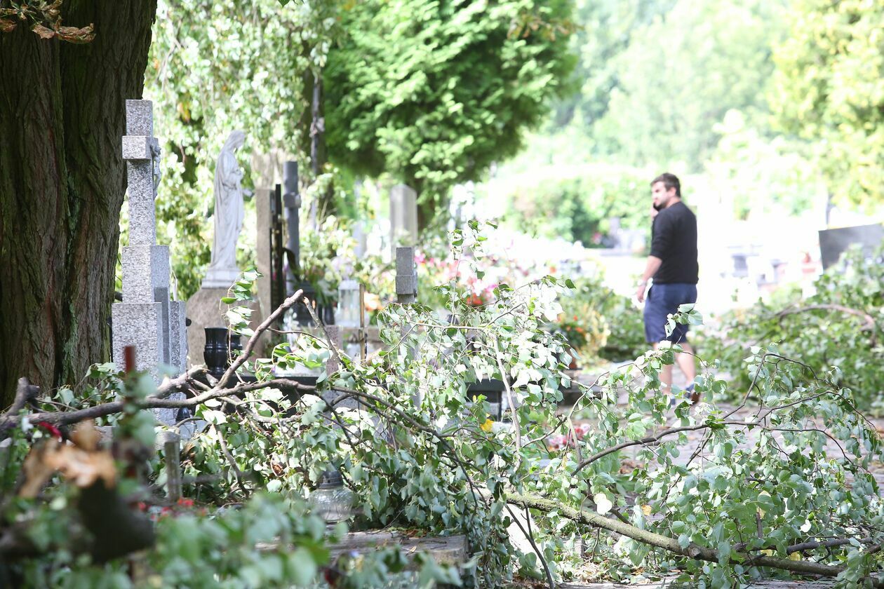  Zniszczenia na cmentarzu w Konopnicy  - Autor: Piotr Michalski