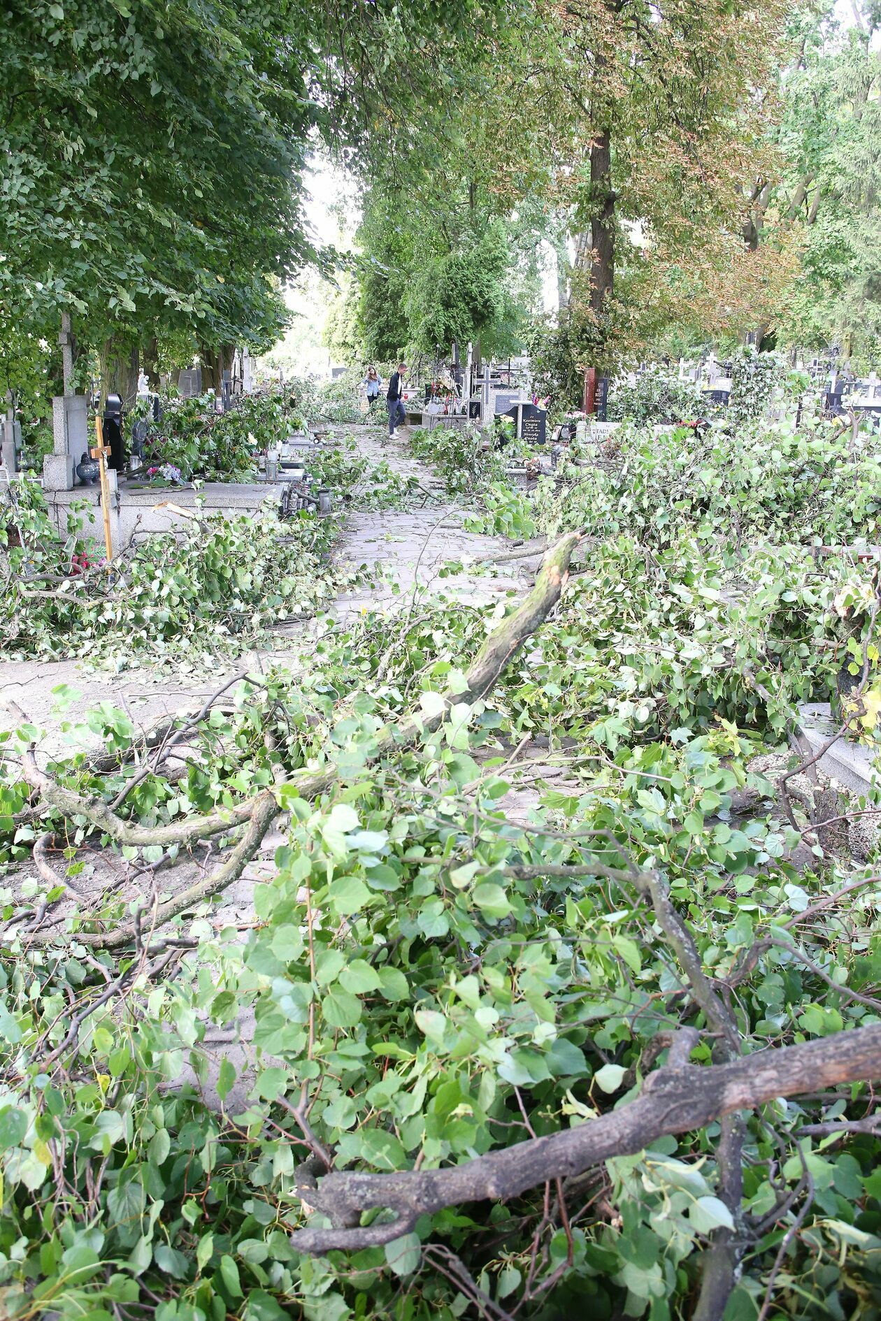  Zniszczenia na cmentarzu w Konopnicy (zdjęcie 2) - Autor: Piotr Michalski