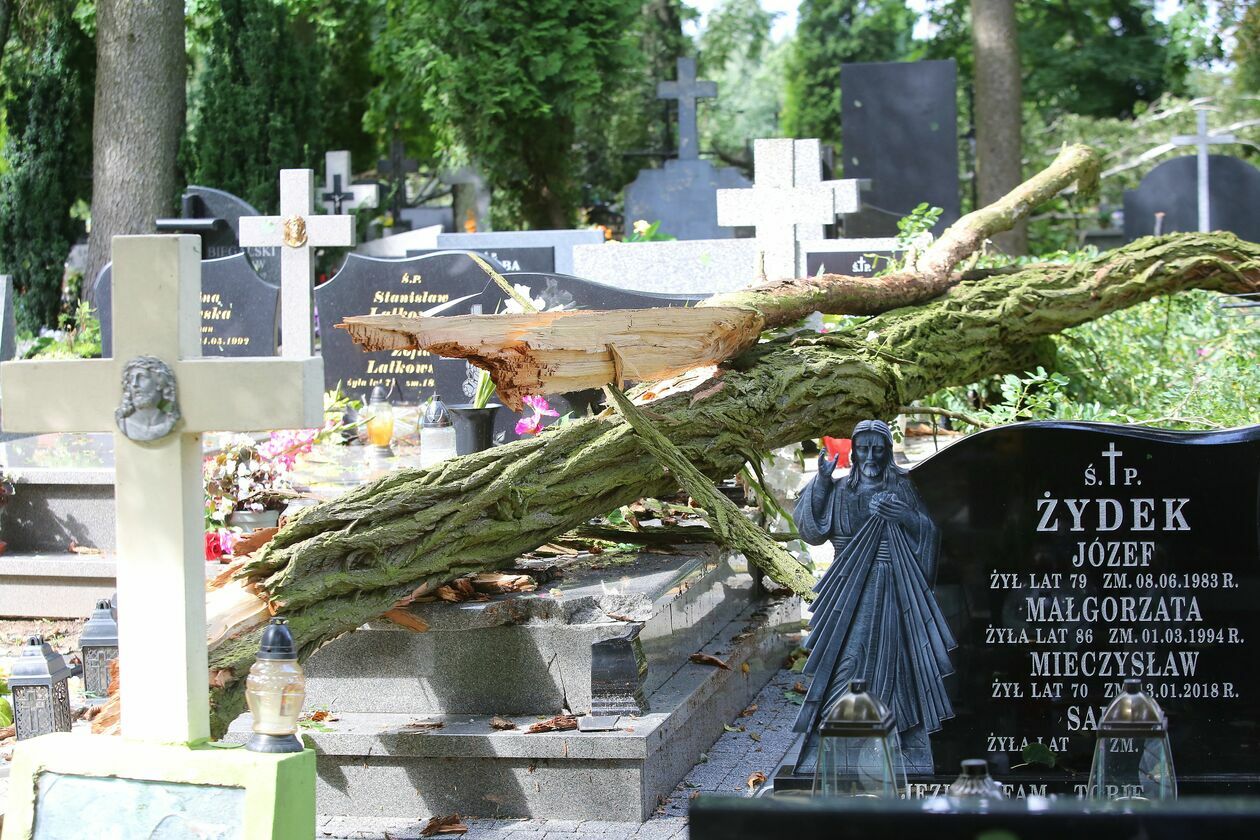  Zniszczenia na cmentarzu w Konopnicy (zdjęcie 14) - Autor: Piotr Michalski