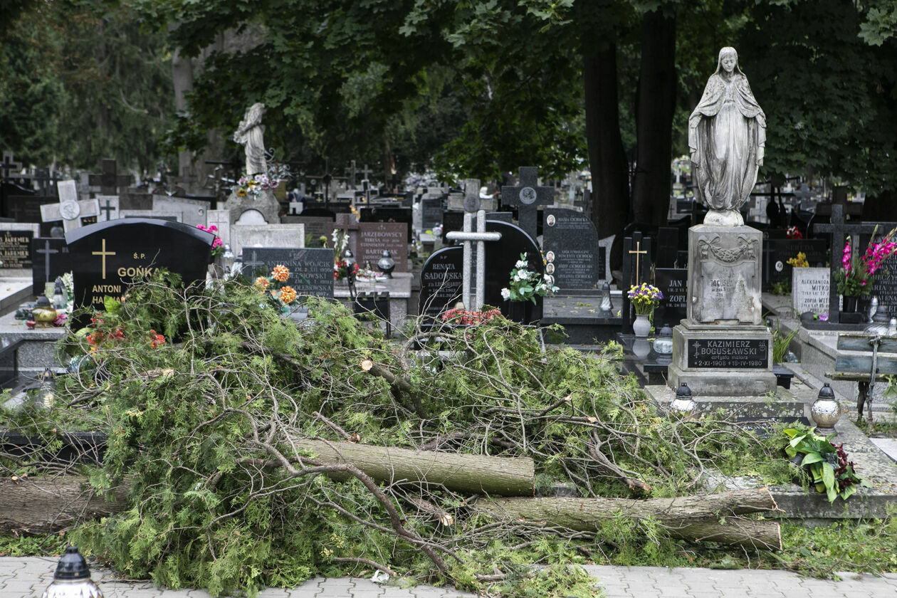  Zniszczenia na cmentarzu przu ul. Lipowej w Lublinie (zdjęcie 16) - Autor: Jacek Szydłowski