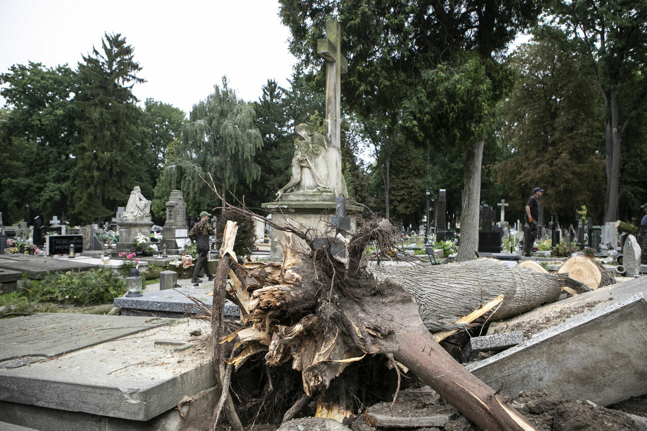  Zniszczenia na cmentarzu przu ul. Lipowej w Lublinie (zdjęcie 4) - Autor: Jacek Szydłowski