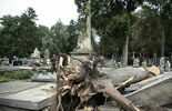Zniszczenia na cmentarzu przu ul. Lipowej w Lublinie (zdjęcie 4)