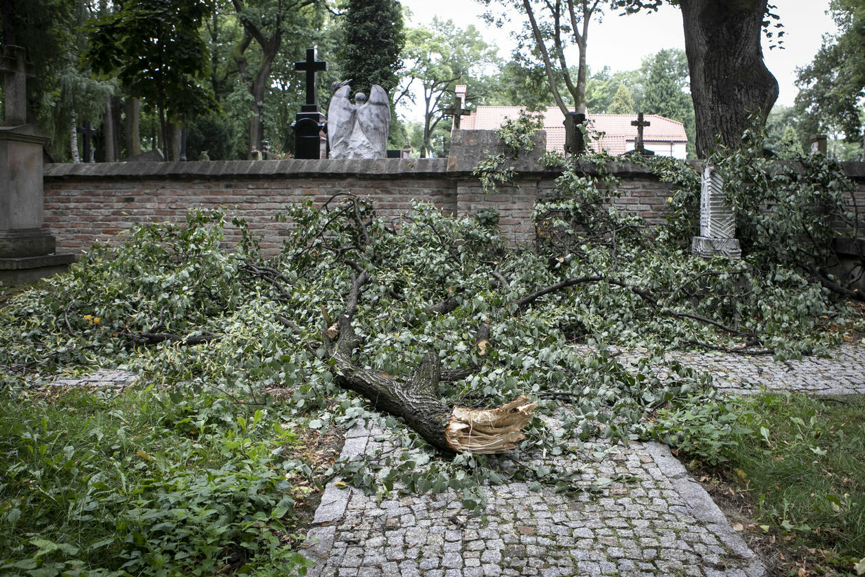 Zniszczenia na cmentarzu przu ul. Lipowej w Lublinie