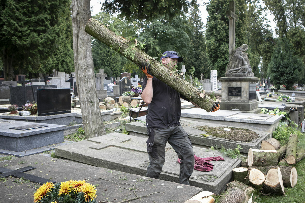 Zniszczenia na cmentarzu przu ul. Lipowej w Lublinie - Autor: Jacek Szydłowski