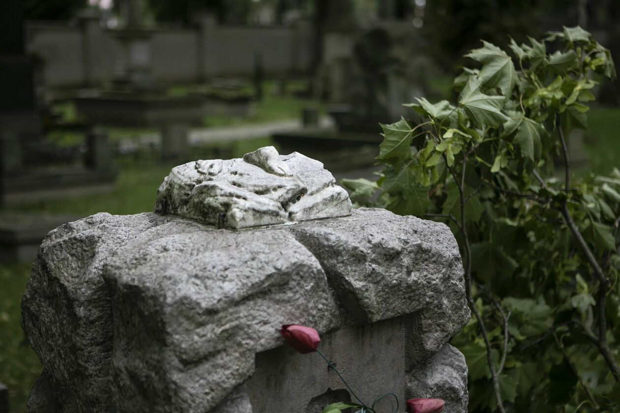  Zniszczenia na cmentarzu przu ul. Lipowej w Lublinie  - Autor: Jacek Szydłowski